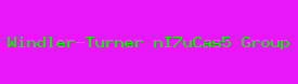 Windler-Turner nI7uCas5 Group Logo