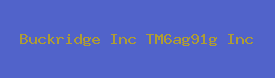 Buckridge Inc TM6ag91g Inc Logo