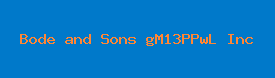 Bode and Sons gM13PPwL Inc Logo